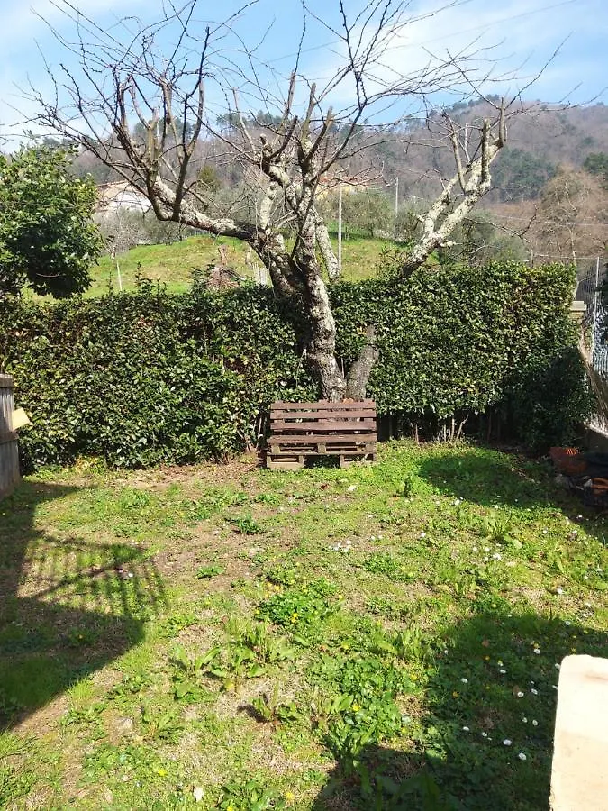 Holiday home Casa Di Nonno Via Di Palmata 1576 Villa Lucca Italy